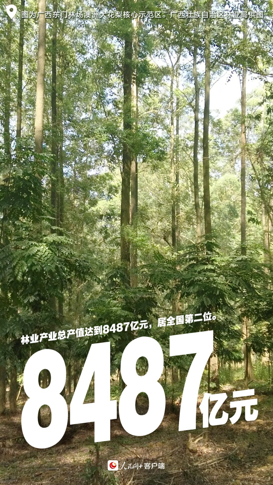 undefined 03林业产业总产值.jpg