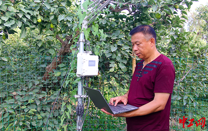 下载自动气候工作站数据