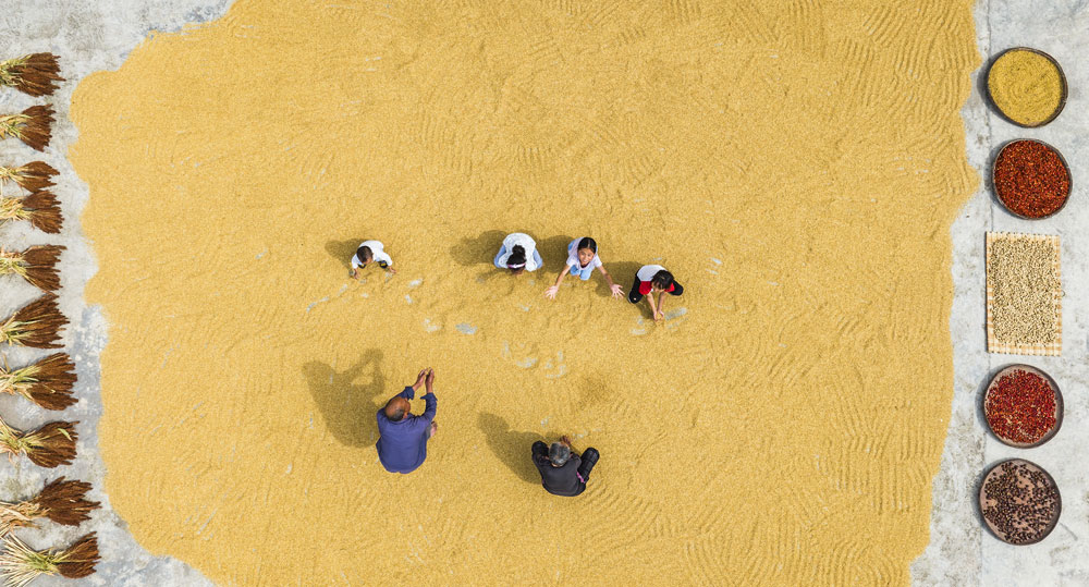 湖北省宜昌市秭归县农民抢抓农时晾晒作物，到处是一派丰收的景象。（王罡 摄）