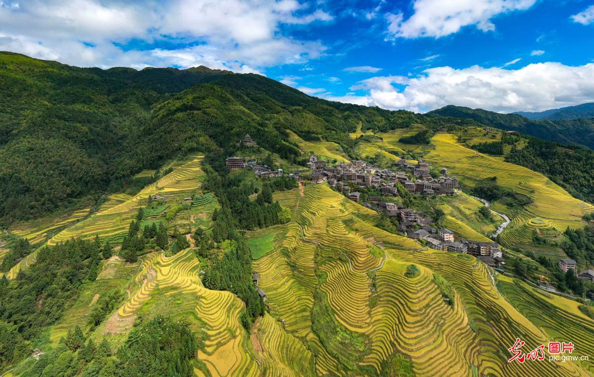 【光明图刊】空中“瞰”梯田 尽显乡村振兴美好画卷 【光明图刊】空中“瞰”梯田 尽显乡村振兴美好画卷