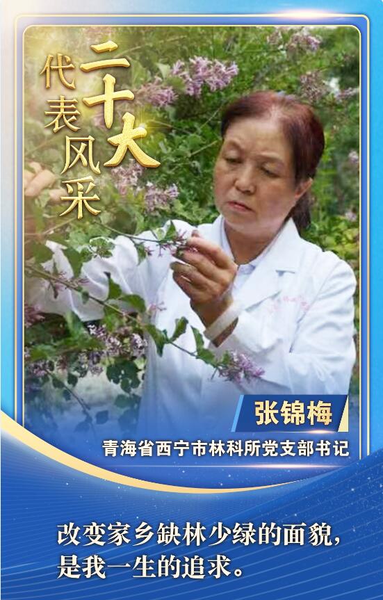 QQ截图20221011202222