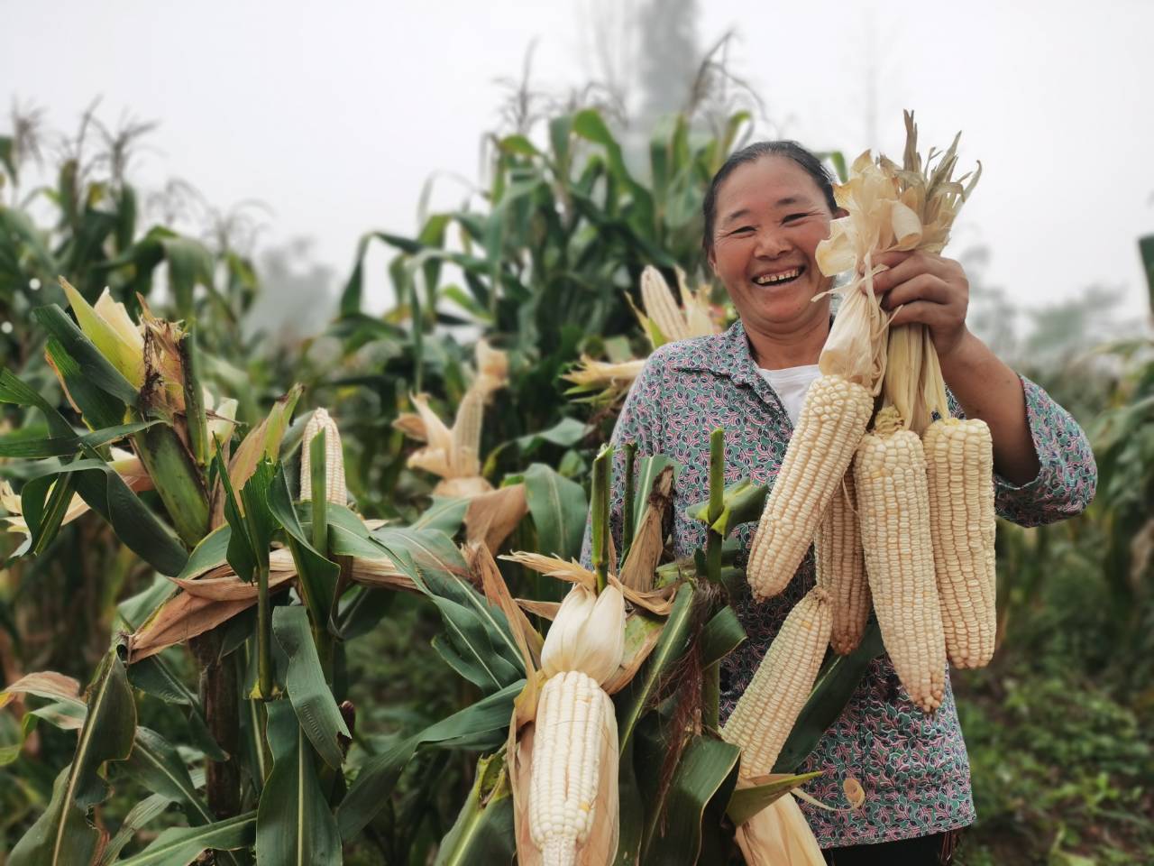 001rzo4Rly1h6fdnuapuzj60s60ww1e002