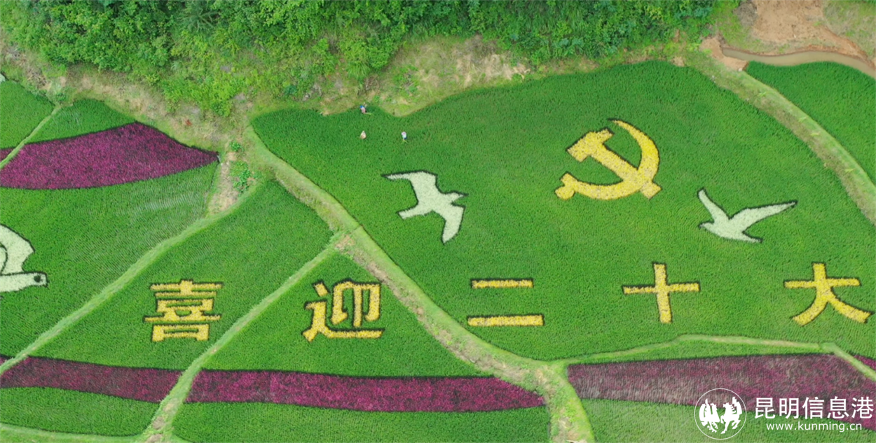 微信图片_20221012213951