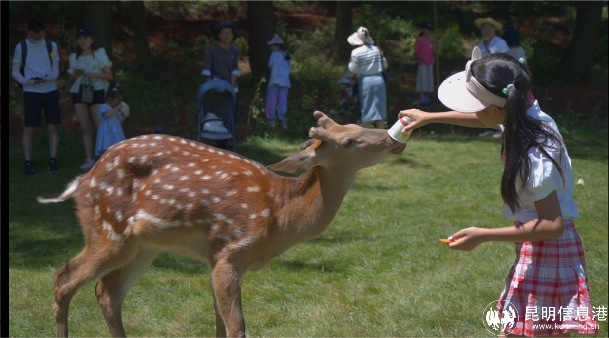 微信图片_20221012214020