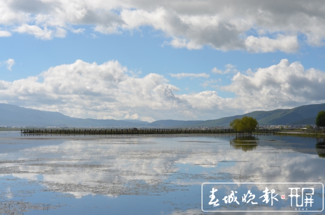 纳帕海保护区：生态效益补偿湿地面积增加1万亩（孙琴霞 摄）