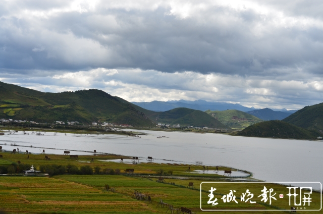 纳帕海保护区：生态效益补偿湿地面积增加1万亩（孙琴霞 摄）