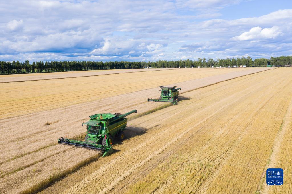 1129066196_16658472256101n