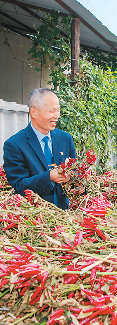 陈晓磐在了解秋收情况。杨 光摄 陈晓磐在了解秋收情况。杨 光摄