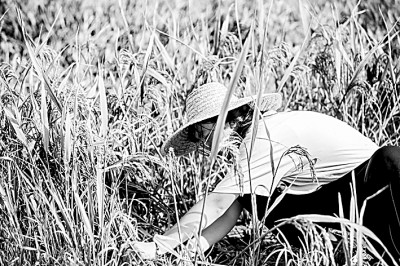 看我们这十年的青春实践手记——思政实践课见证奋进新时代 看我们这十年的青春实践手记——思政实践课见证奋进新时代