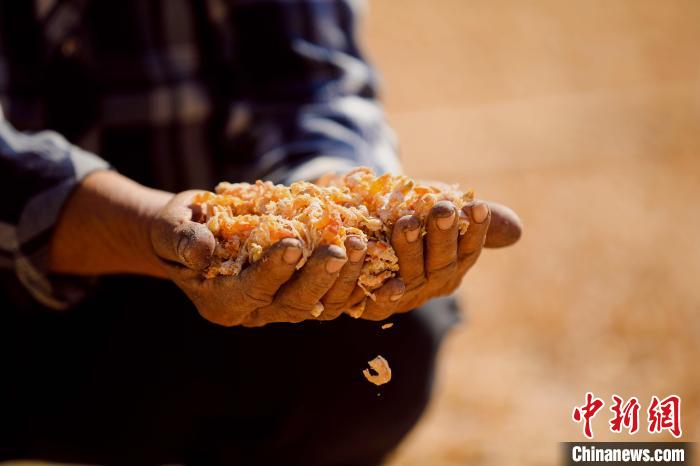 渔民正在晾晒海米。 宋年升 摄 渔民正在晾晒海米。 宋年升 摄