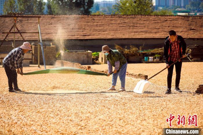 渔民正在晾晒海米。 丁敏航 摄 渔民正在晾晒海米。 丁敏航 摄