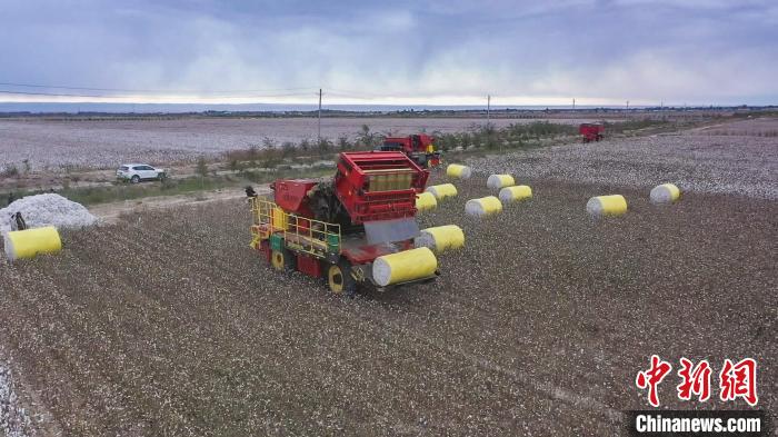 目前在乌苏市作业的600余台采棉机中，有440多台属于国产品牌，占到采棉机总量的七成以上。　张军 摄