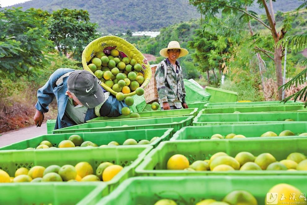 微信图片_20221025150205