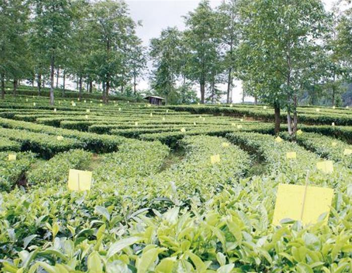 微信图片_20221025150905