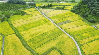 xsbnb1023008_004_01_b