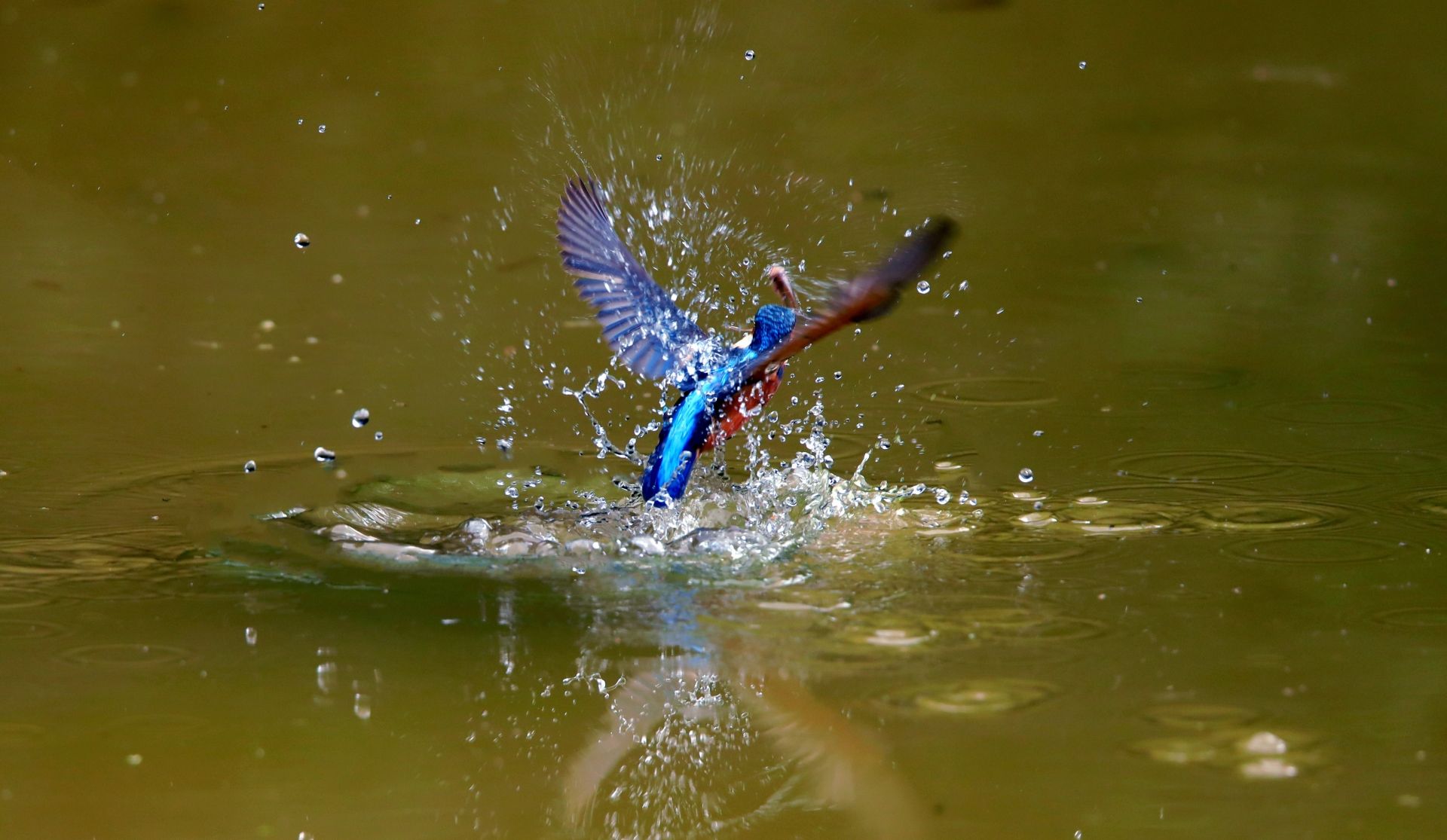 9fc26e77af54d8a331192fd6fd43230b 9fc26e77af54d8a331192fd6fd43230b