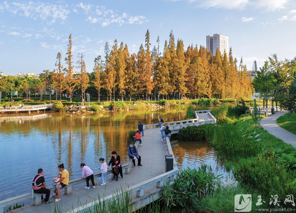 58aad9404fd420eae00cdaa92ded@2x