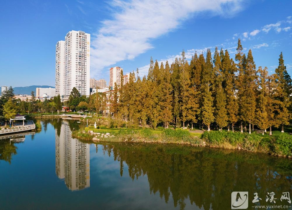 806d2c98f46d8e484dd79e3cb914@2x