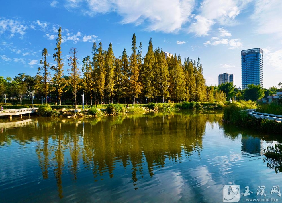 e4c5a2b621a3b5248a707c0b9053@2x