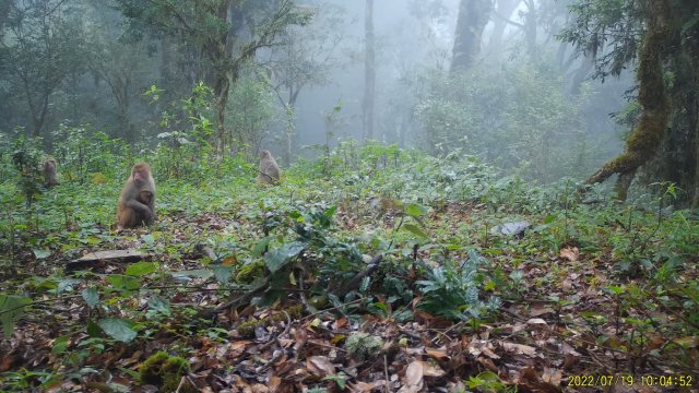 7月19日拍摄 (6).jpg