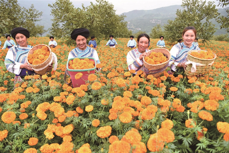 0d433512-a8ac-46d5-a084-0f8a13b2f424