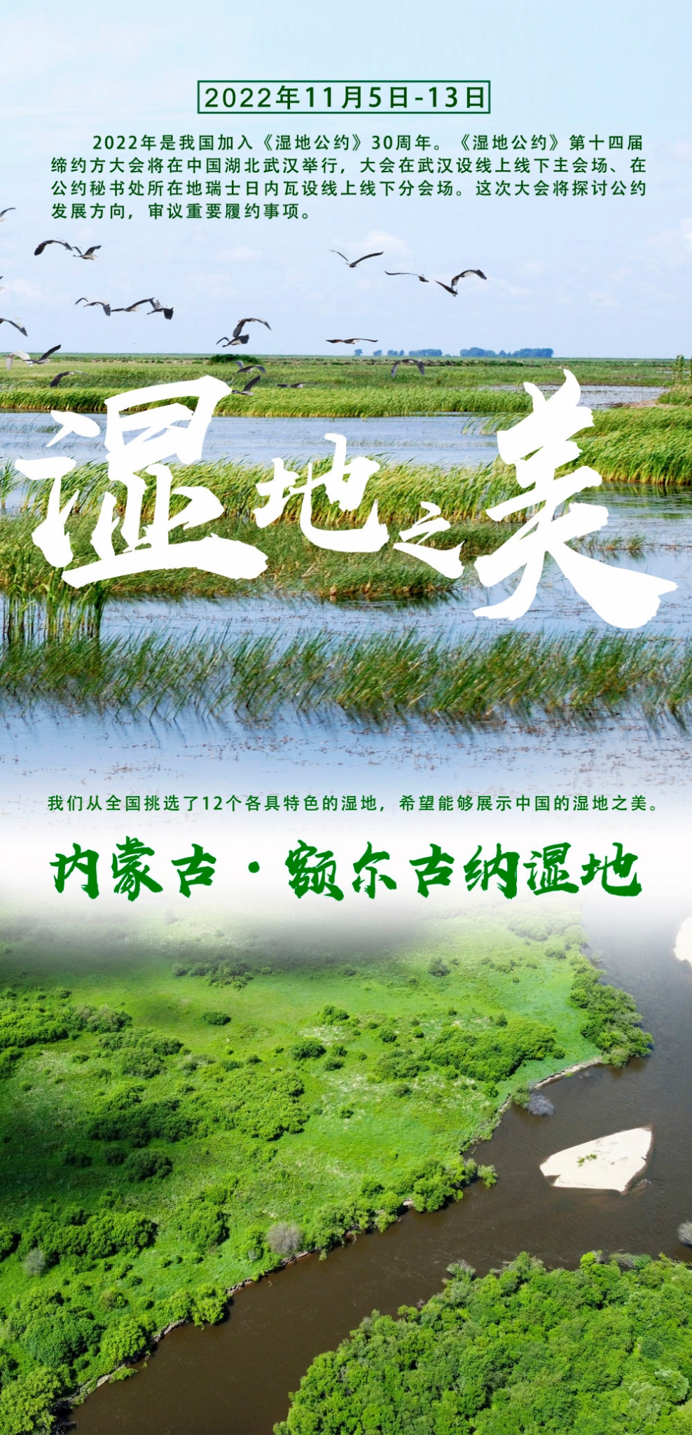 1ecdbbb26f814258966047afda391d96 1ecdbbb26f814258966047afda391d96