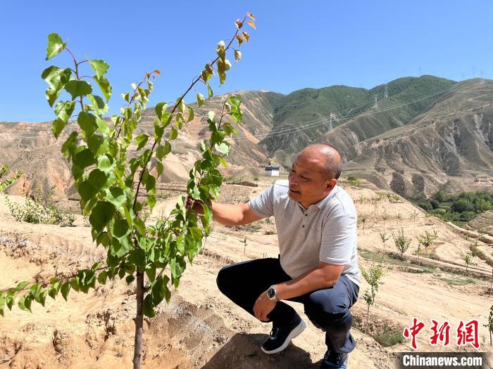 青海尖扎:村里架起“致富桥”村民日子富起来
