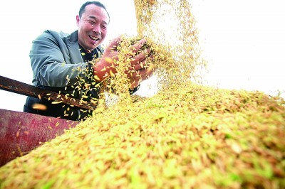 抱团聚力 让兴村富民火更旺
