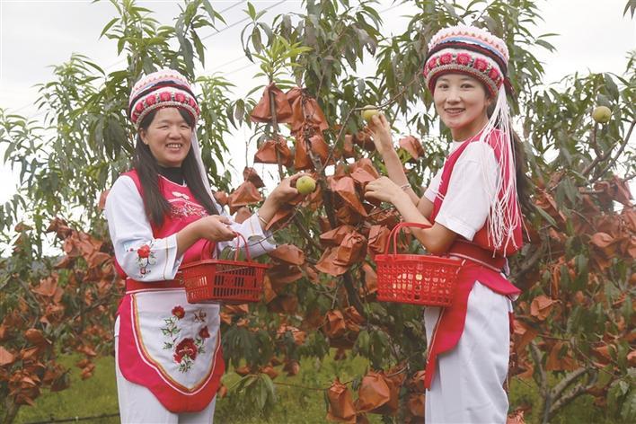 微信图片_20221104160438