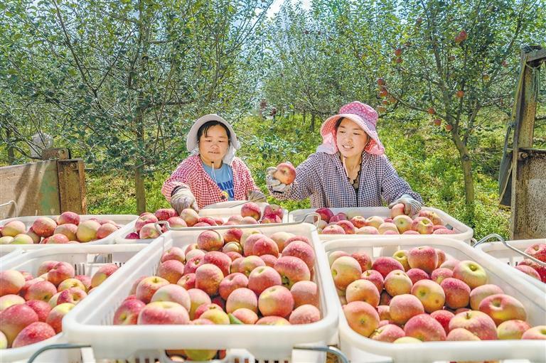 微信图片_20221104161031