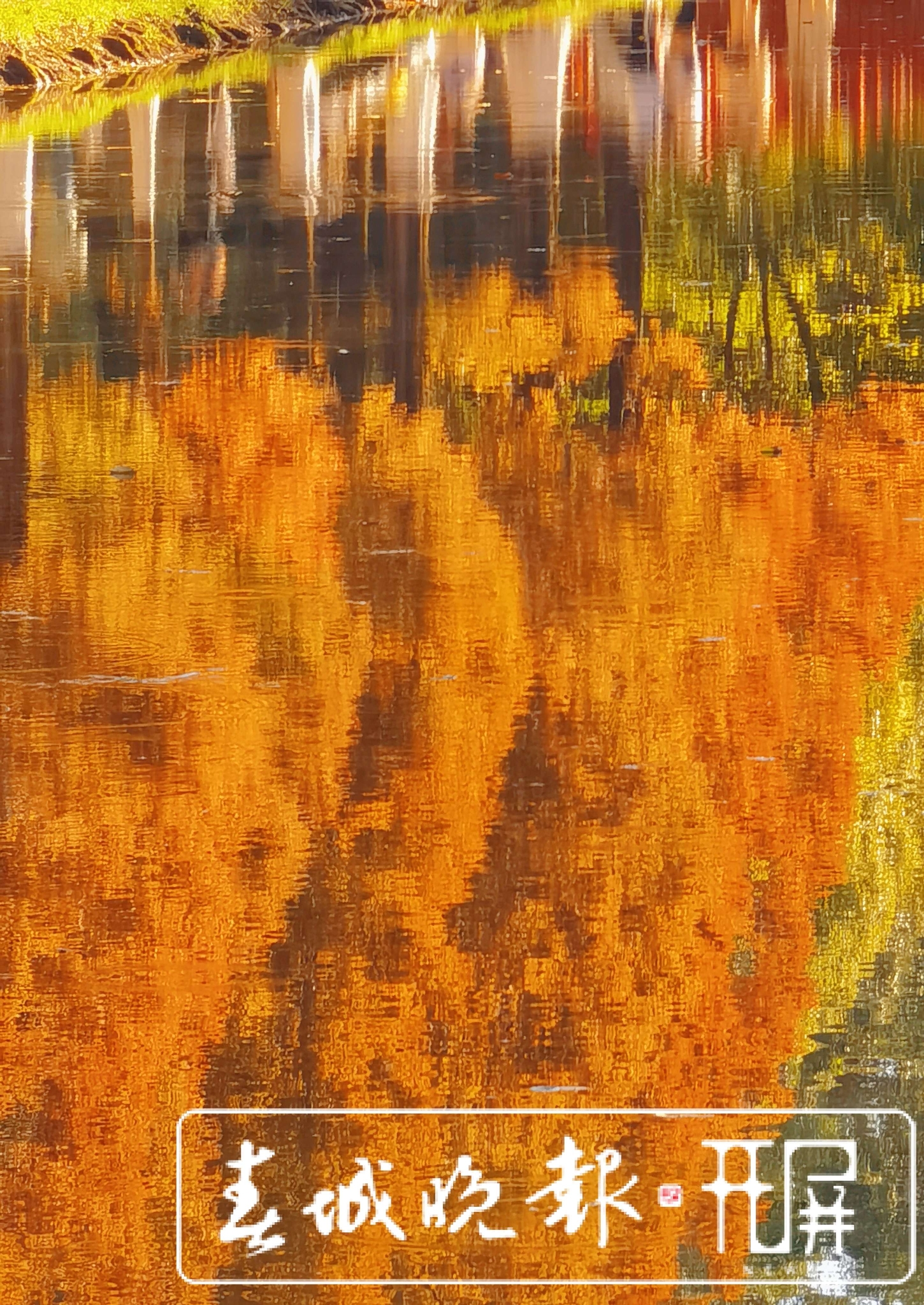 采莲河-开屏新闻马雯 (1).jpg