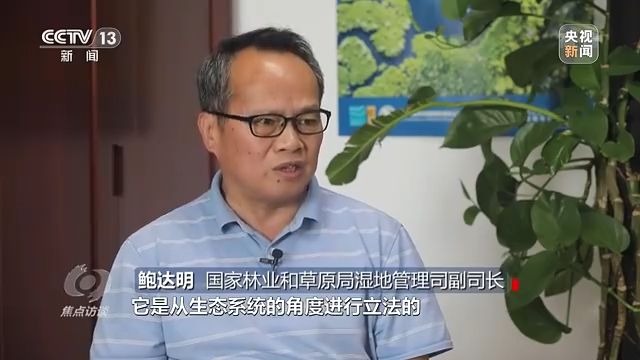 焦点访谈丨以法为盾 守护湿地