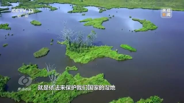 焦点访谈丨以法为盾 守护湿地