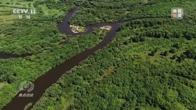 焦点访谈丨以法为盾 守护湿地