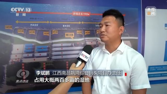 焦点访谈丨以法为盾 守护湿地