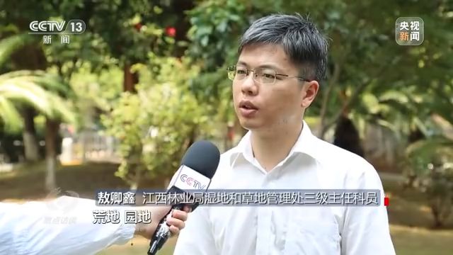 焦点访谈丨以法为盾 守护湿地