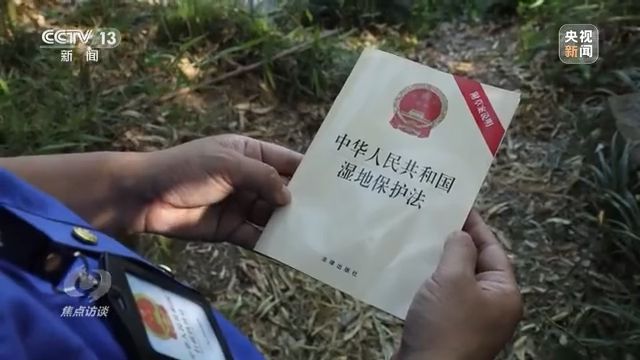 焦点访谈丨以法为盾 守护湿地