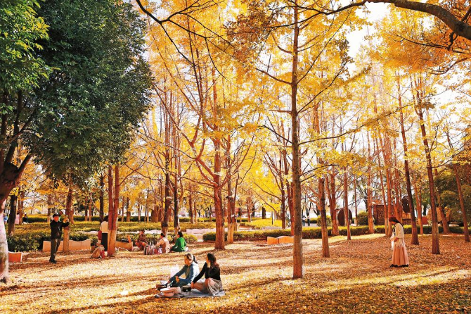 微信图片_20221119095643 微信图片_20221119095643