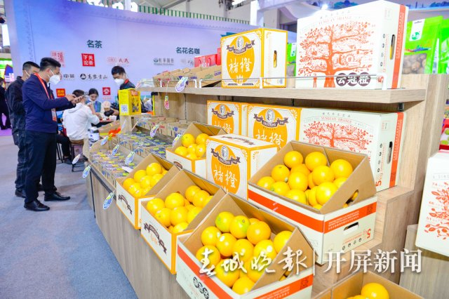 南博会(龙宇丹 摄)