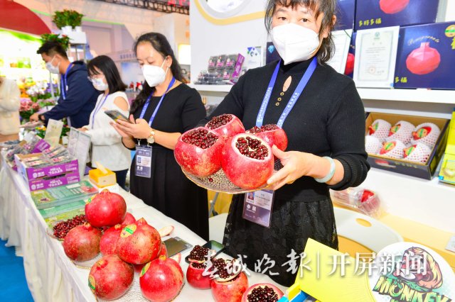 南博会(龙宇丹 摄)