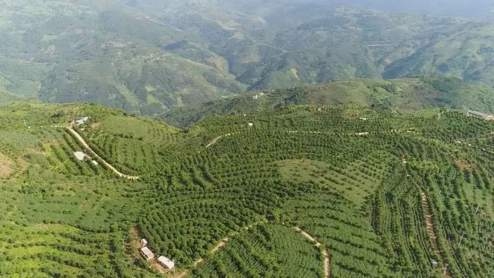 1669083771207518.jpg 01.jpg