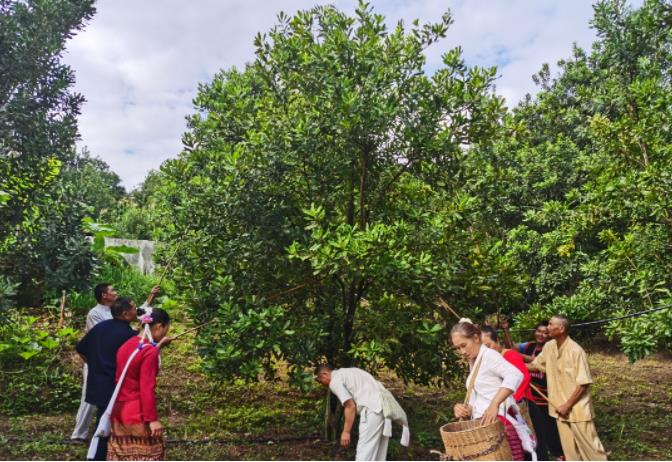 1669083783736064.jpg 02.jpg