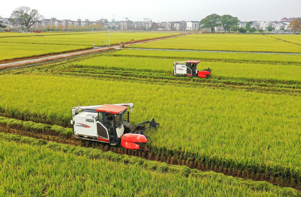 节气里的中国丨小雪:冬令成 万物藏