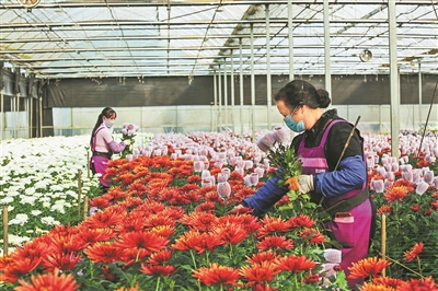 hhrb1129001_002_01_b