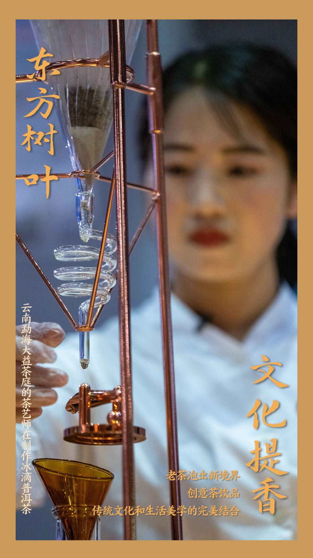 镜观中国丨这,就是中国茶 镜观中国丨这,就是中国茶