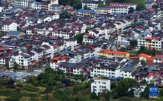走进武夷山,来看武夷岩茶“岩骨花香”的奥秘