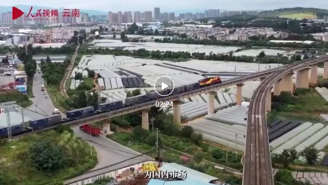 微信截图_20221204184122