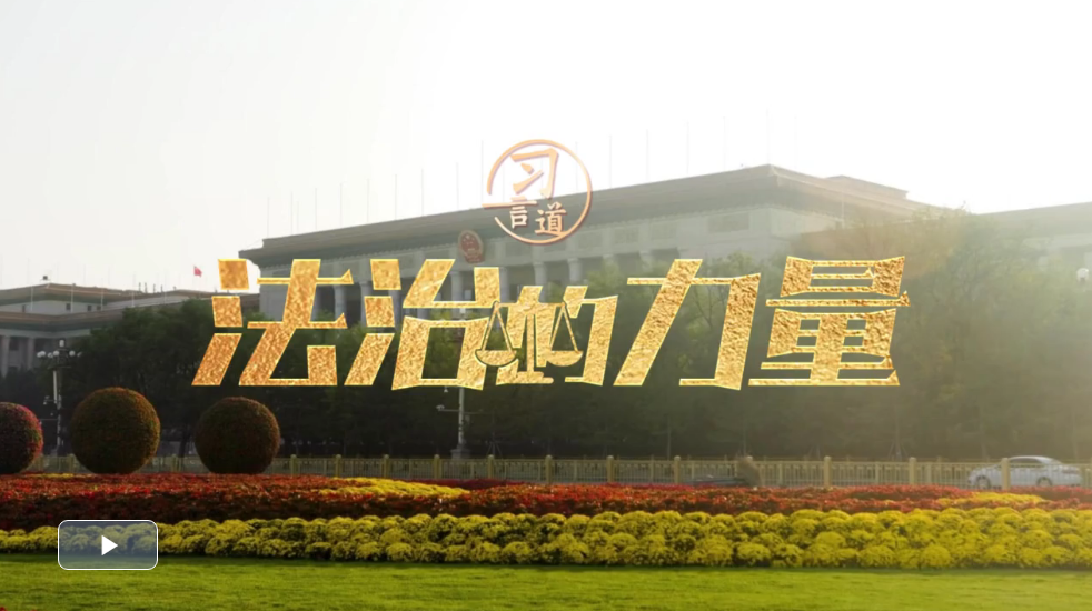 微信截图_20221204220225