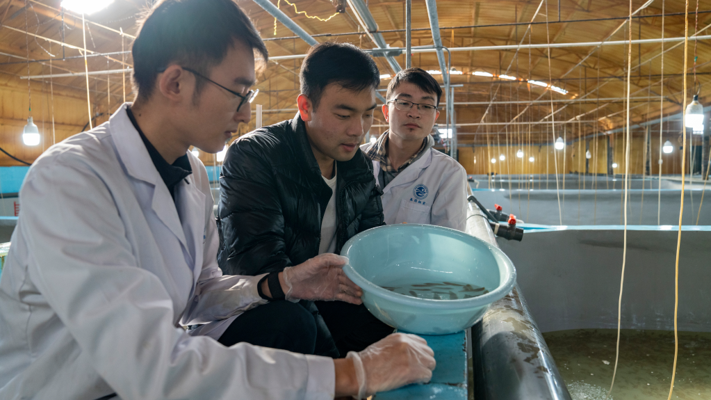 1129184748_16702266932191n 1129184748_16702266932191n