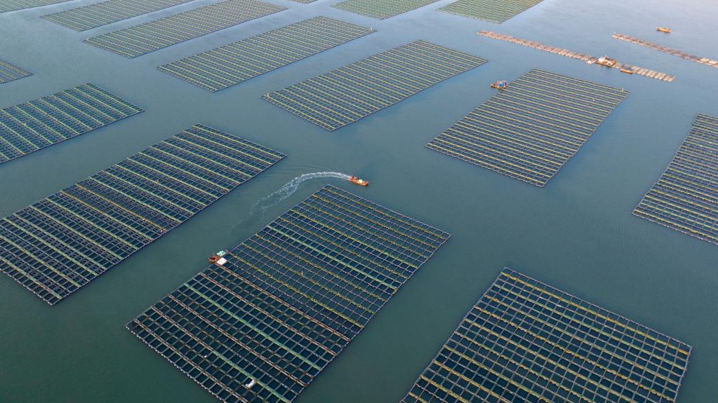 1129184748_16702267037141n 1129184748_16702267037141n